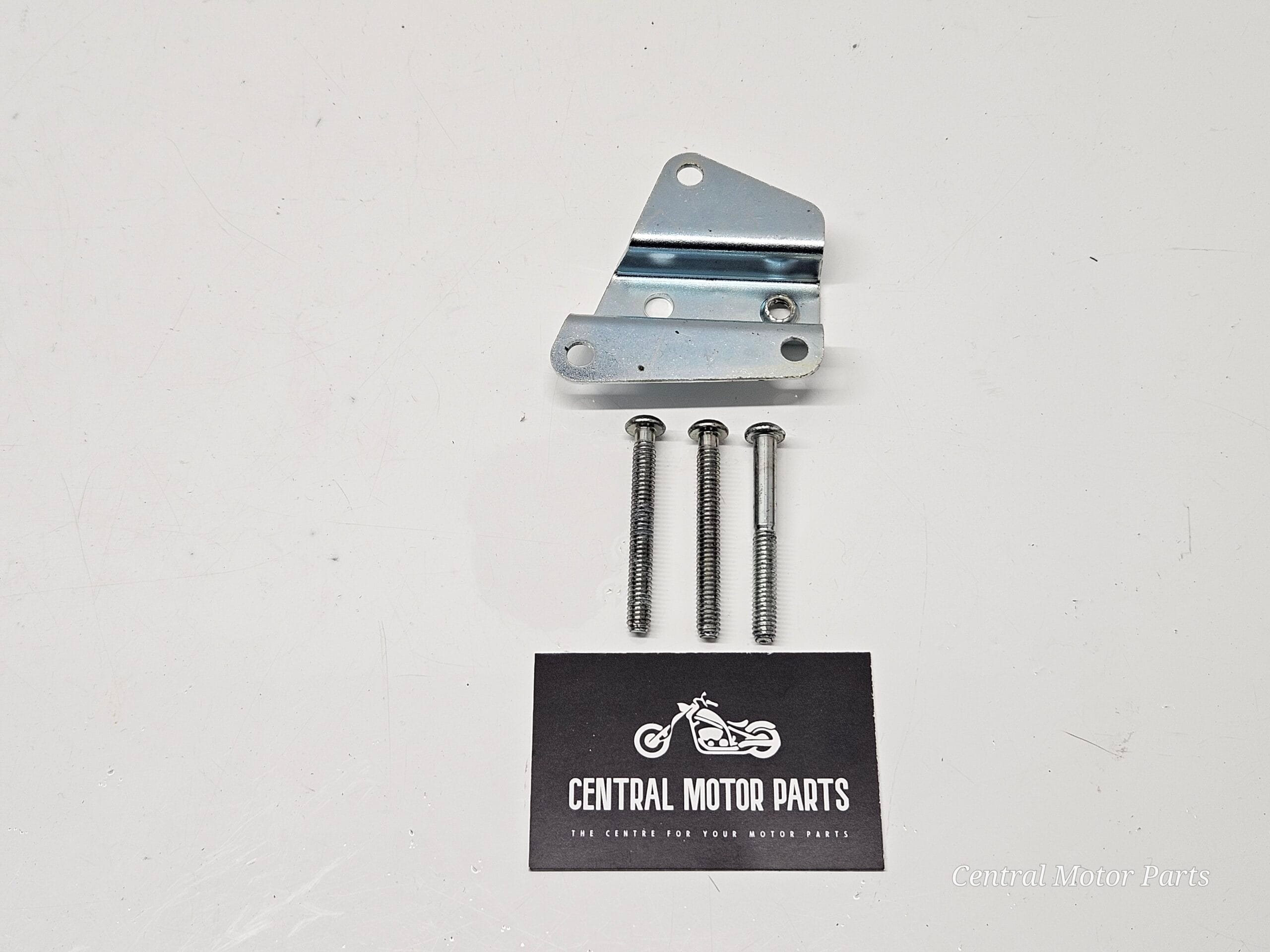 Filter Element bracket met schroeven Harley Davidson