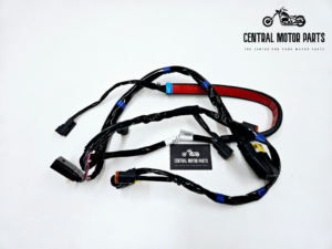 Wire Harness Rear Lighting + Audio CVO Touring 2017-2020 – 69201559