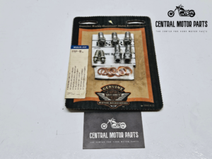 Chromen Banjo Bolt kit voor remklauwen – 41843-08