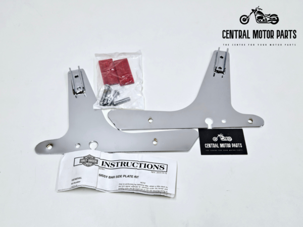 Sissy Bar Sideplates Sportster XL 2004-2020 – 53925-04