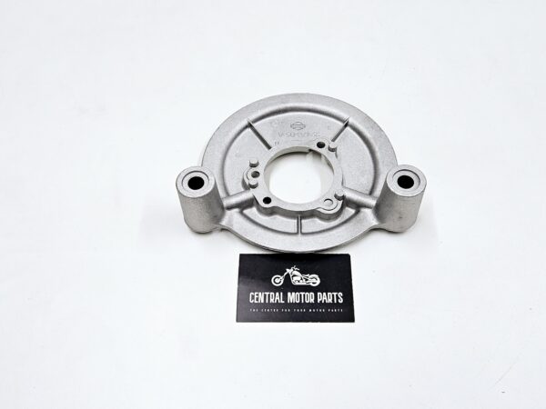 Backplate Screamin’ Eagle Softail-Dyna 1999-2015 – 29478-05