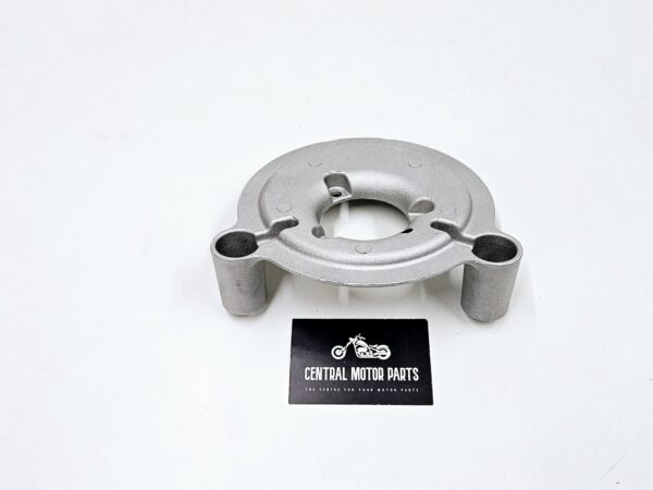 Backplate Screamin’ Eagle Softail-Dyna 1999-2015 – 29478-05
