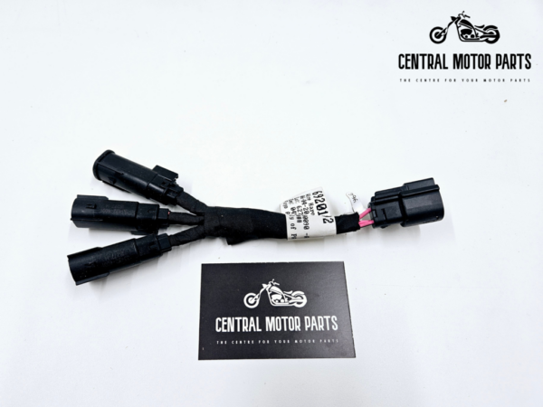 Speaker interconnect Harness – 69201092