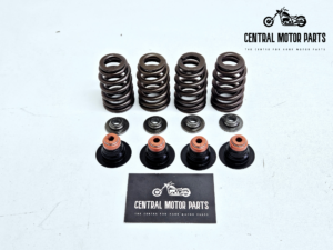 Valve Springs Big Twin 2005-up + Sportster XL 2004-up – 18344-05